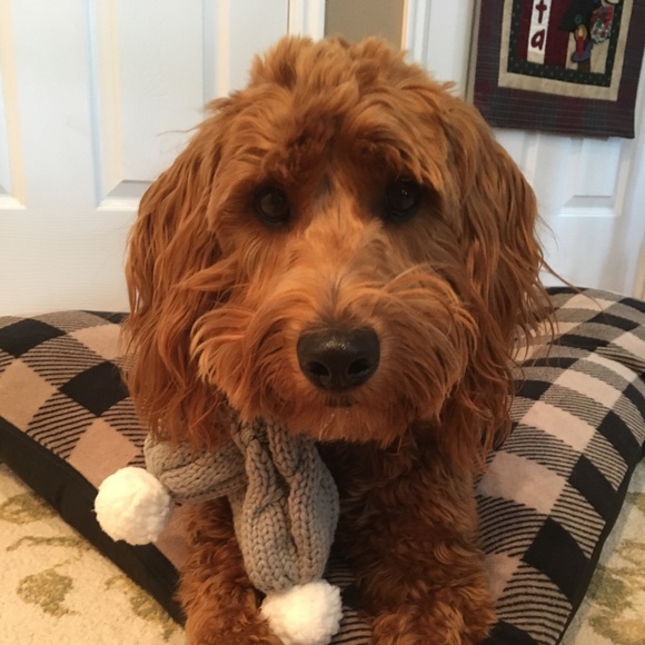 Meet your Posher, Michelle - Picture 2 of 2